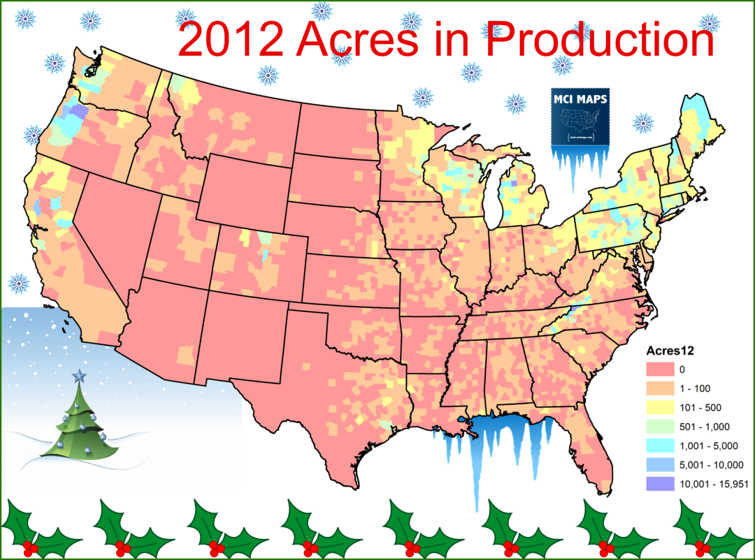 Where Your Christmas Tree Comes From MCI Maps Election Data Analyst