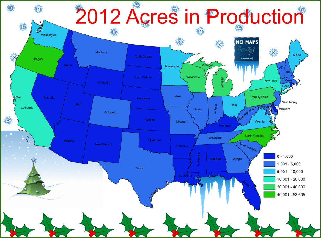 Where Your Christmas Tree Comes From MCI Maps Election Targeting