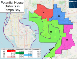 Florida Redistricting Tour #4: State House Districts in the Tampa Bay ...