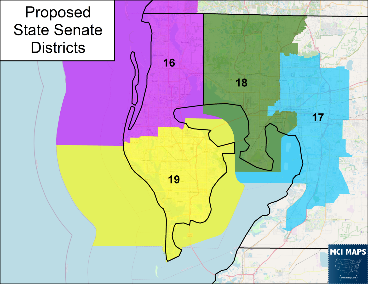 Florida Redistricting Tour #5: Crossing the Tampa Bay - MCI Maps ...