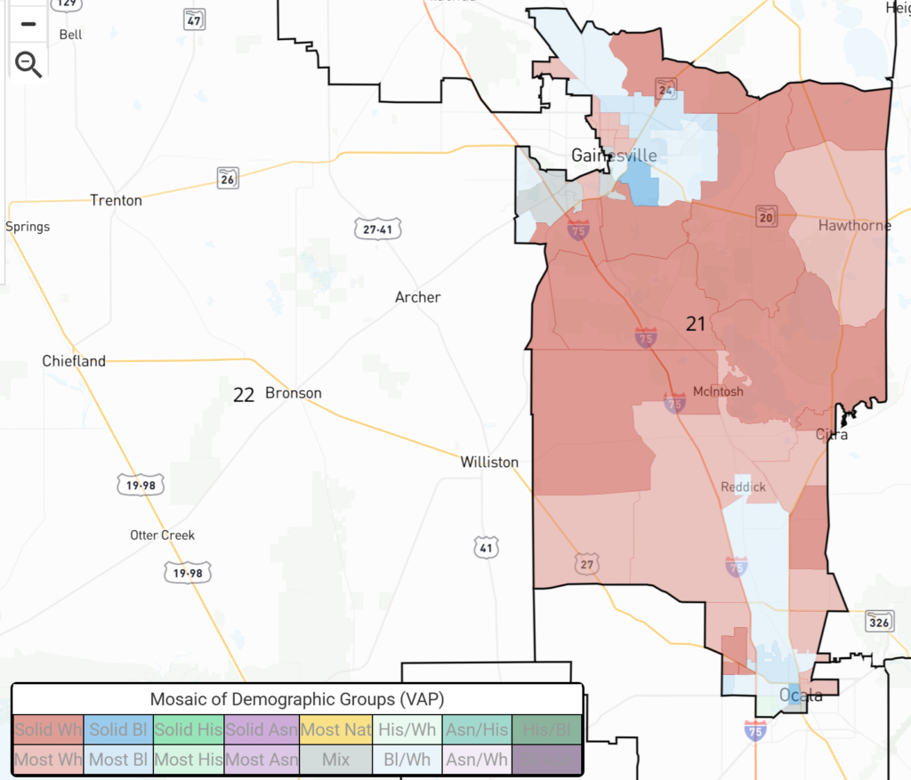 Informational map of demographic groups (VAP) with red/blue shaded blocks around Gainesville, showing major roads like I-75 and labeled towns.